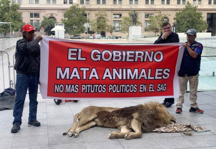 chile.jpg