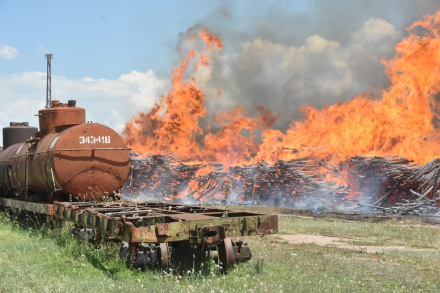 WhatsApp Image 2023-01-26 at 14.44.16.jpeg