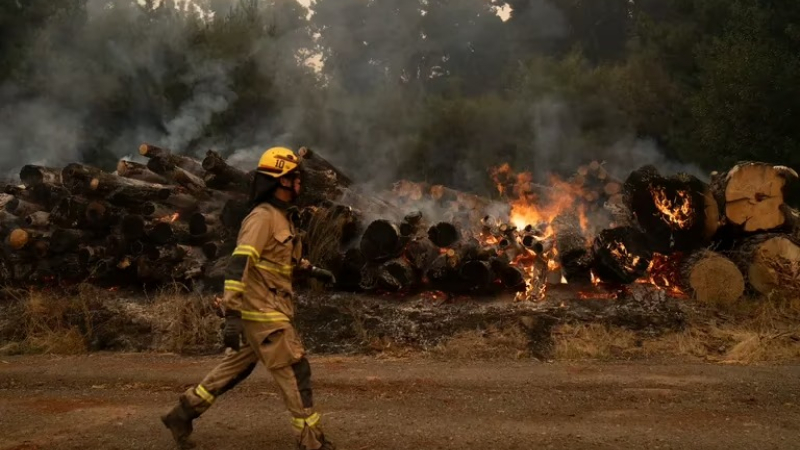El Gobierno de Chile declaró el alerta por incendios en la región metropolitana y prevé una situación "muy compleja"