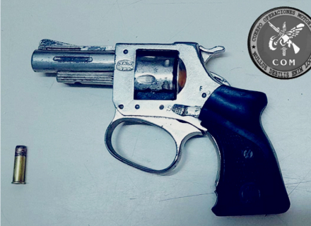 revolver de plagas.jpg