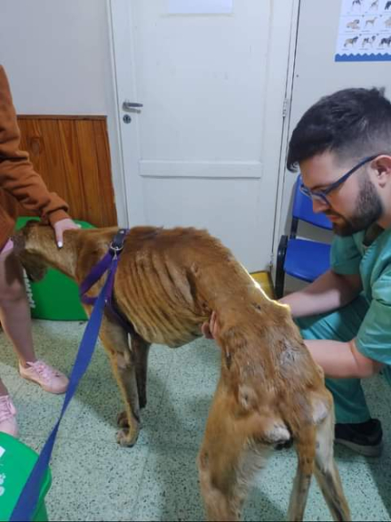 WhatsApp Image 2023-03-01 at 11.50.27.jpeg