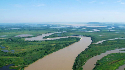 Sin bosques no hay agua