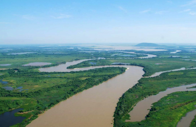 Sin bosques no hay agua
