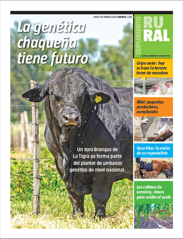 La genética chaqueña tiene futuro