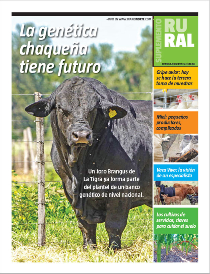 La genética chaqueña tiene futuro