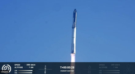 elon3.jpg