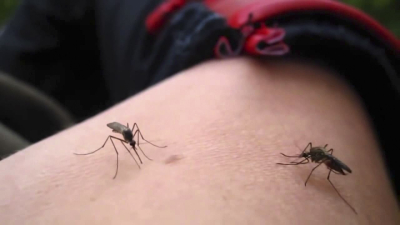Son más de 56 mil casos de dengue en todo el país