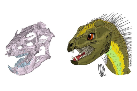 720469-dinosaurio.jpg