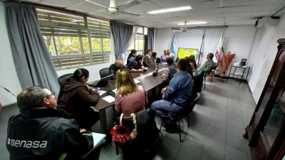Confirman un nuevo caso de gripe aviar en el Chaco