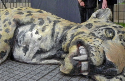 Quien cazó un yaguareté pagará una fianza real para seguir en libertad