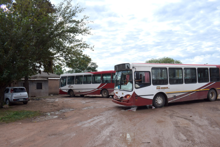 VUELVEN LOS COLECTIVO1.JPG