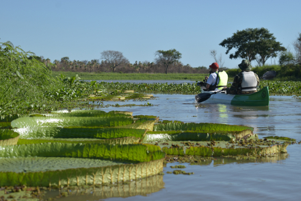 Villa Ocampo Jaaukanigas canoa-Santa Fe-Litoral y los Grandes Ríos-Argentina.jpg
