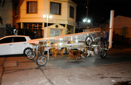 correcaminos2.jpg