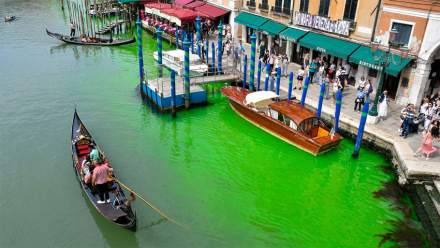 venecia2.jpg