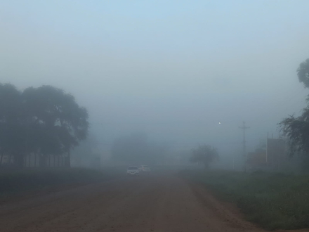 niebla junio 2.jfif