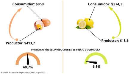 came junio 2023 brechas.jpg