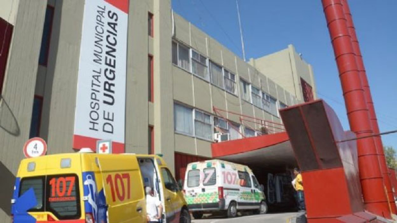 Córdoba: dos dogos se escaparon de una casa y mataron a una adolescente