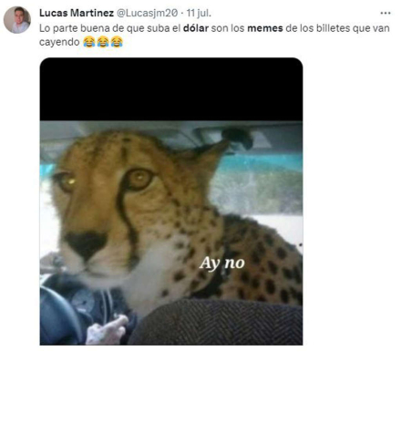 06.jpg