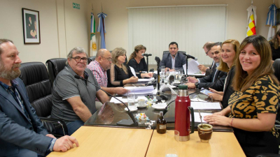 La próxima semana se define si prospera el jury contra Fanta