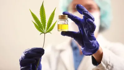 El Gobierno reglamentó la ley de cannabis