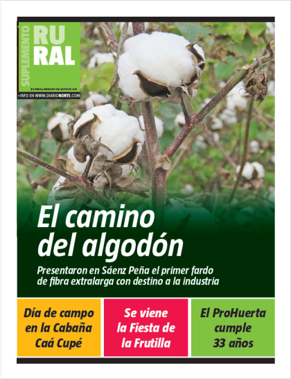 El camino del algodón