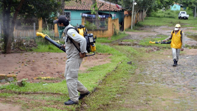 Alerta roja en Paraguay: sin frío, en el verano habrá un estallido de chikunguña