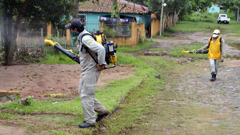 Alerta roja en Paraguay: sin frío, en el verano habrá un estallido de chikunguña