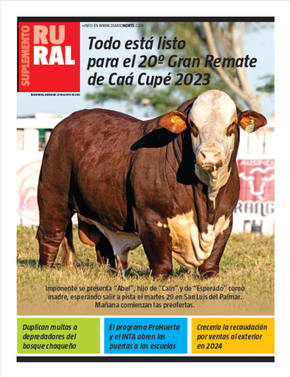 Todo está listo para el 20º Gran Remate de Caá Cupé 2023