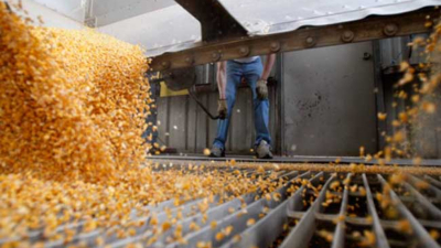 Cayeron un 40% las exportaciones del Chaco en el primer semestre