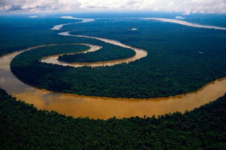 amazonas1.jpg