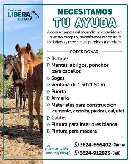 Fundacion Libera flyer.jfif