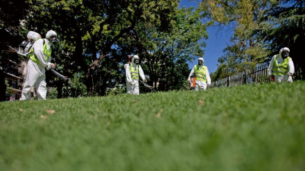 fumigacion-contra-mosquitos-del-dengue-1651158.jpg