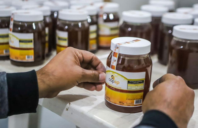 Exportarán 22 toneladas de miel orgánica a Alemania