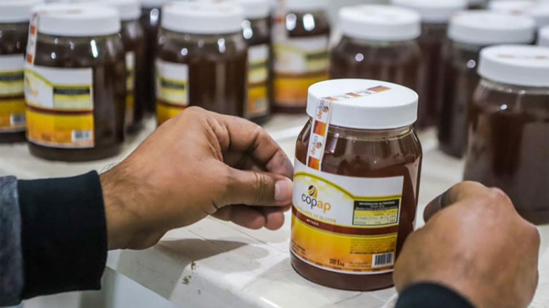 Exportarán 22 toneladas de miel orgánica a Alemania