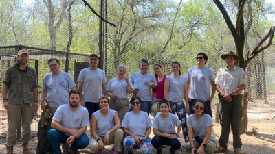 Veterinarios Amigos de El Impenetrable realizaron más de 40 intervenciones quirúrgicas