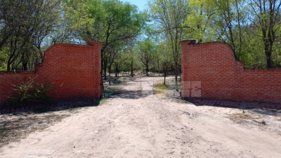 Crimen de Cecilia Strzyzowski: ordenan nuevas excavaciones en el campo del "clan Sena"