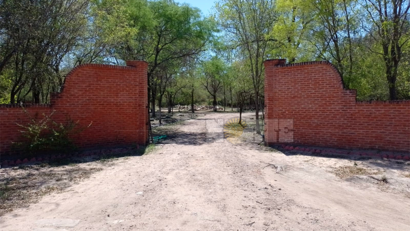 Crimen de Cecilia Strzyzowski: ordenan nuevas excavaciones en el campo del "clan Sena"