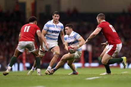 Pumas y Gales.jfif