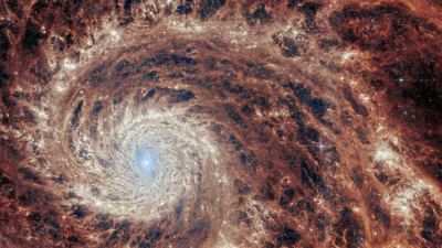 Telescopio espacial James Webb: la ciencia unida a la belleza