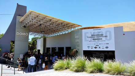 expo cannabis.jpg