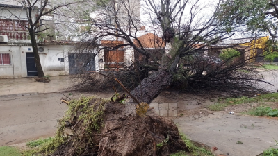 Gran temporal en Resistencia: fuertes vientos y casi 50 mm de agua caída