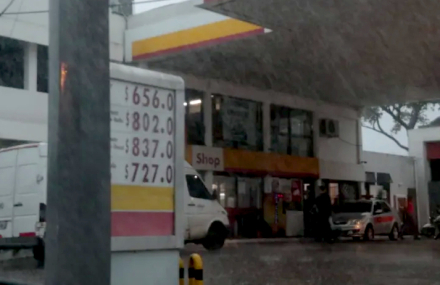 shell01.jpg