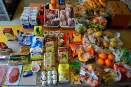 canasta alimentaria basica.jpg