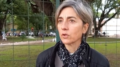 El dengue contraataca