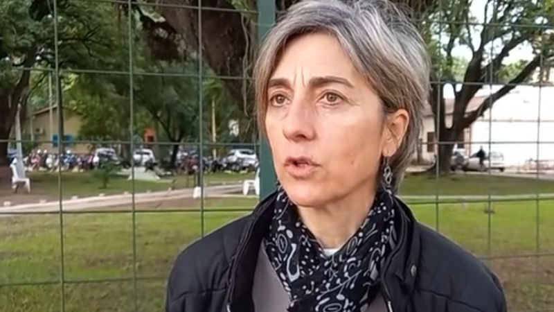 El dengue contraataca