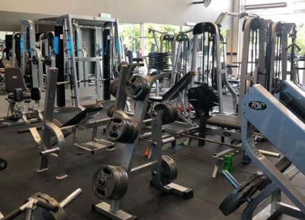 gym.jpg