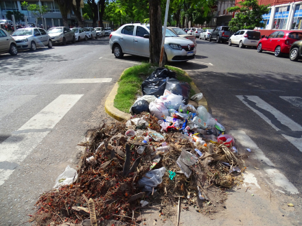 basura1.jpg