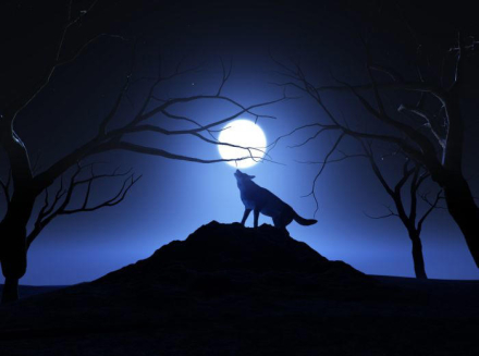 luna2.jpg