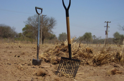 Chaco tiene 55 toneladas por hectárea de carbono orgánico en el suelo