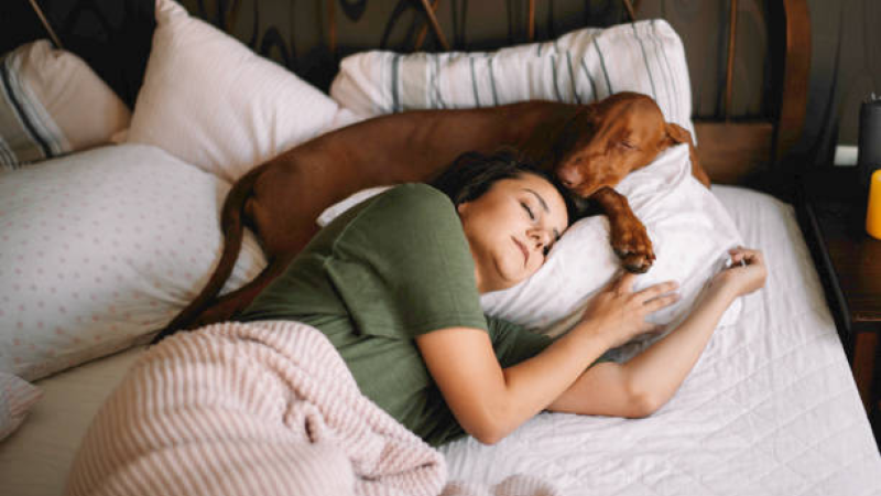 Dormir con perros:¿riesgo o ventaja?